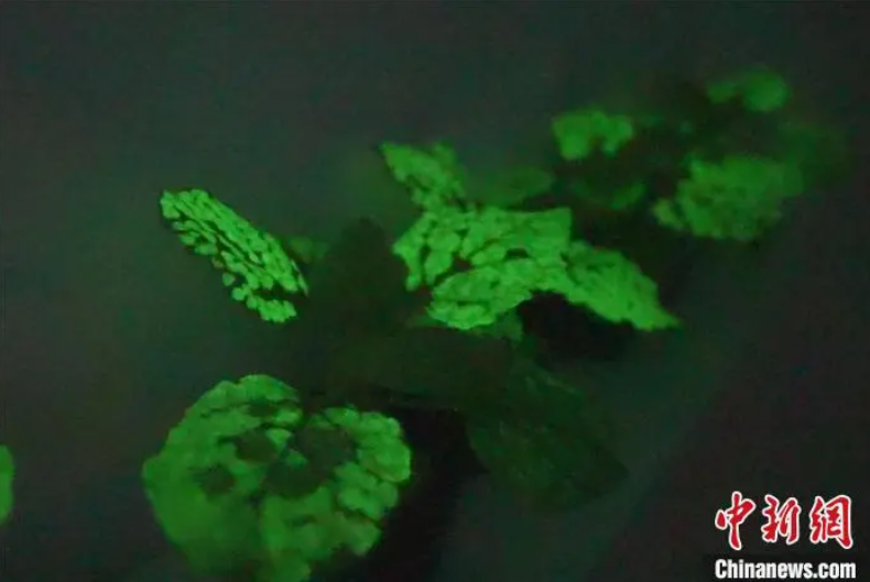 ScreenShot_2026-01-12_155405_172.png