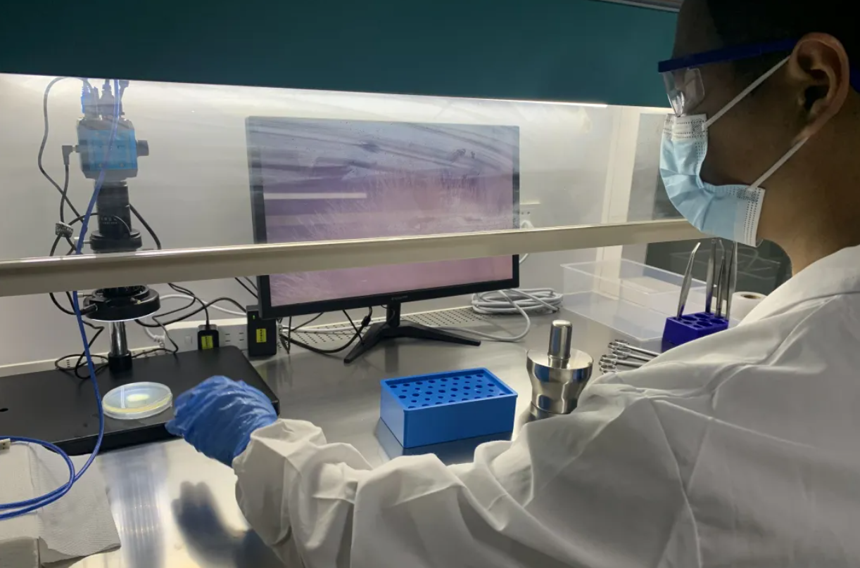 神筆生物基因克隆平臺全面打通