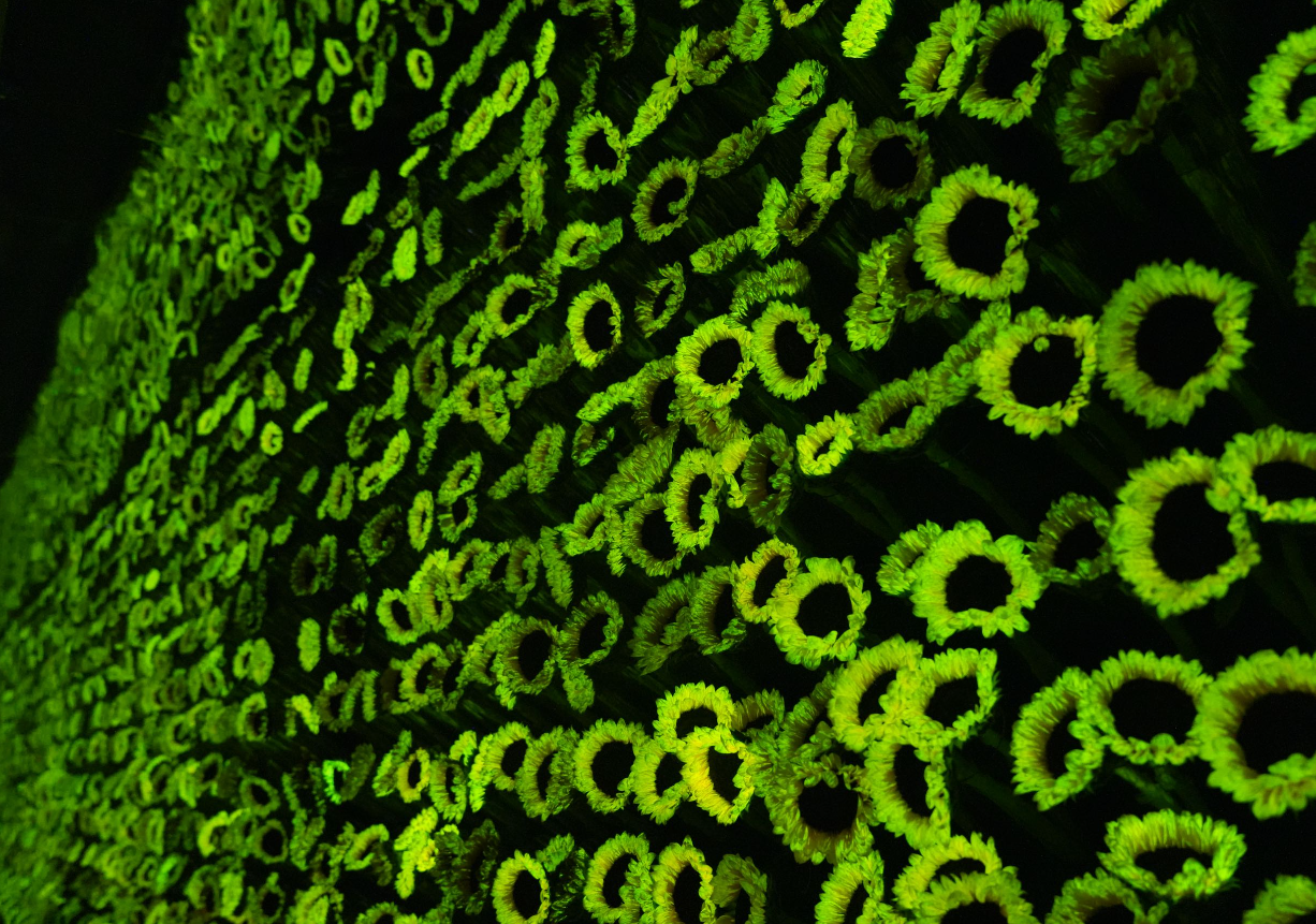 ScreenShot_2026-01-13_092910_597.png