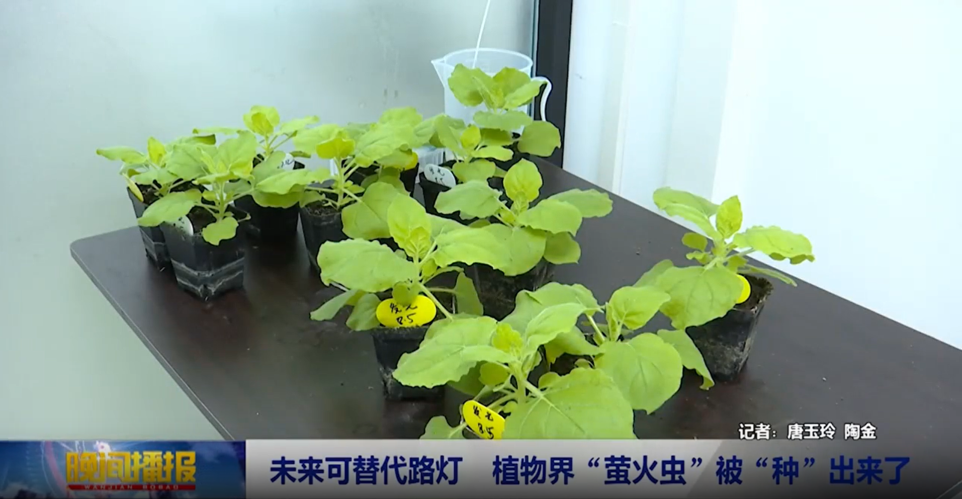 神筆生物獲多家權威媒體采訪報道