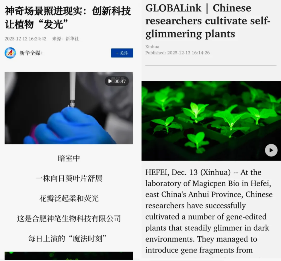 新華社全球報(bào)道 神筆生物技術(shù)成果蜚聲海外