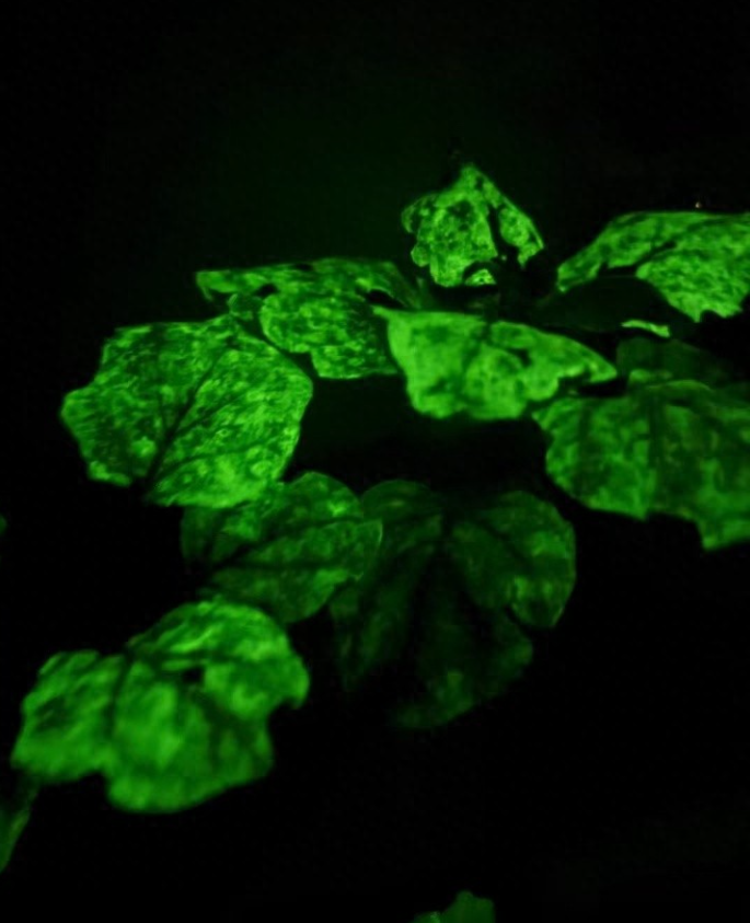 神筆生物再獲梅花創投獨家追投！