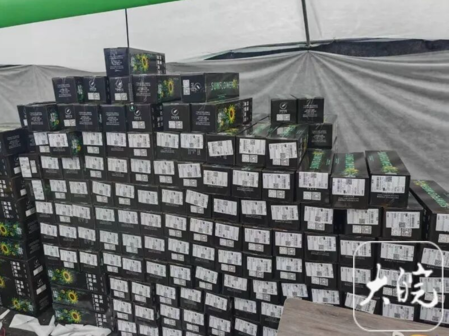 驚嘆！合肥種出“發(fā)光植物”，你想來一株嗎？