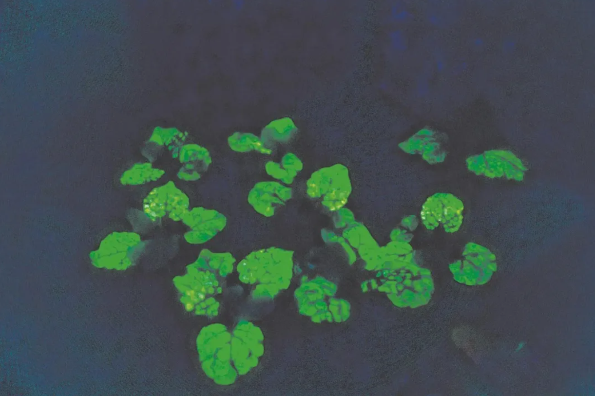 ScreenShot_2026-01-12_155348_643.png